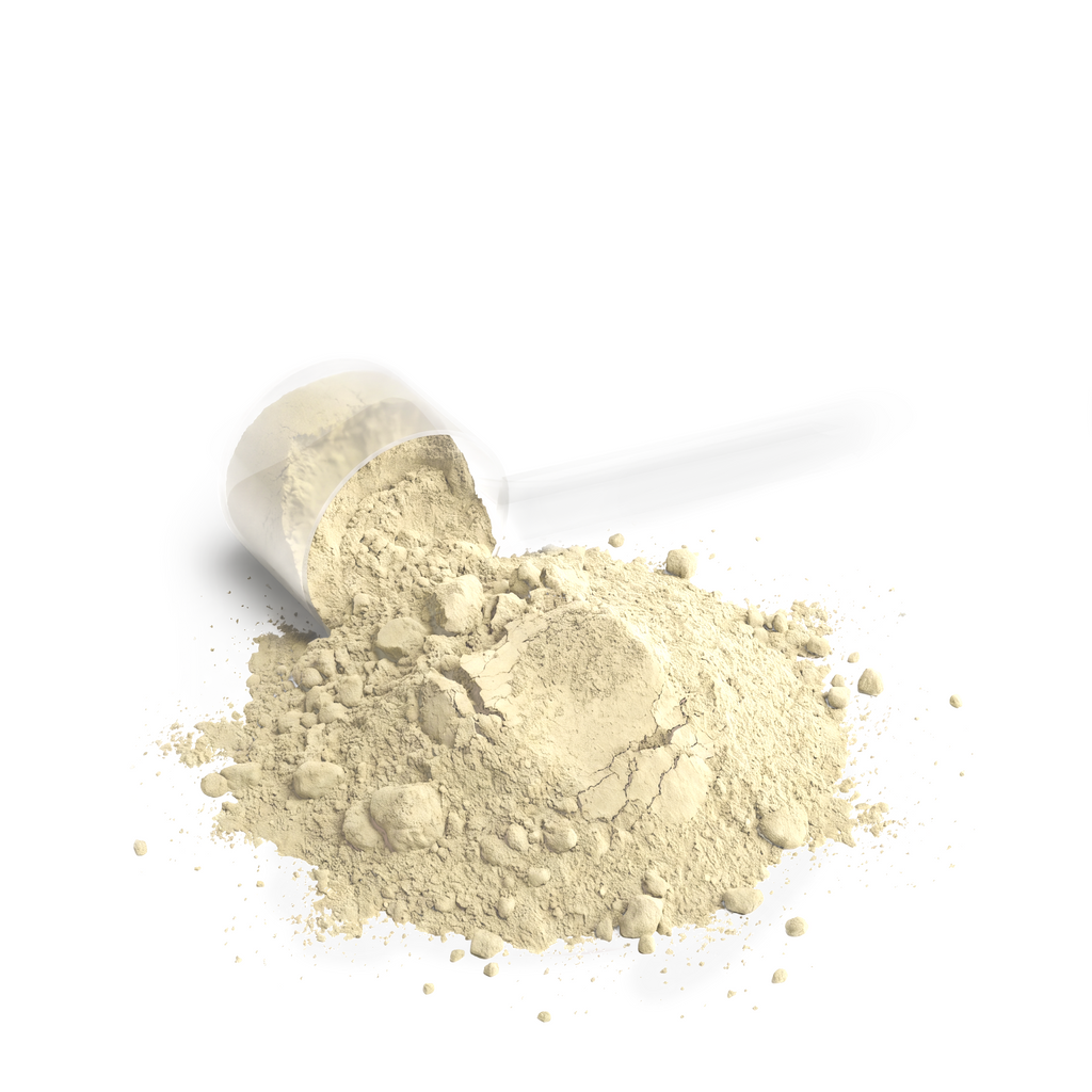 Body Command Premium Performance Whey Protein Blend (Vanilla)
