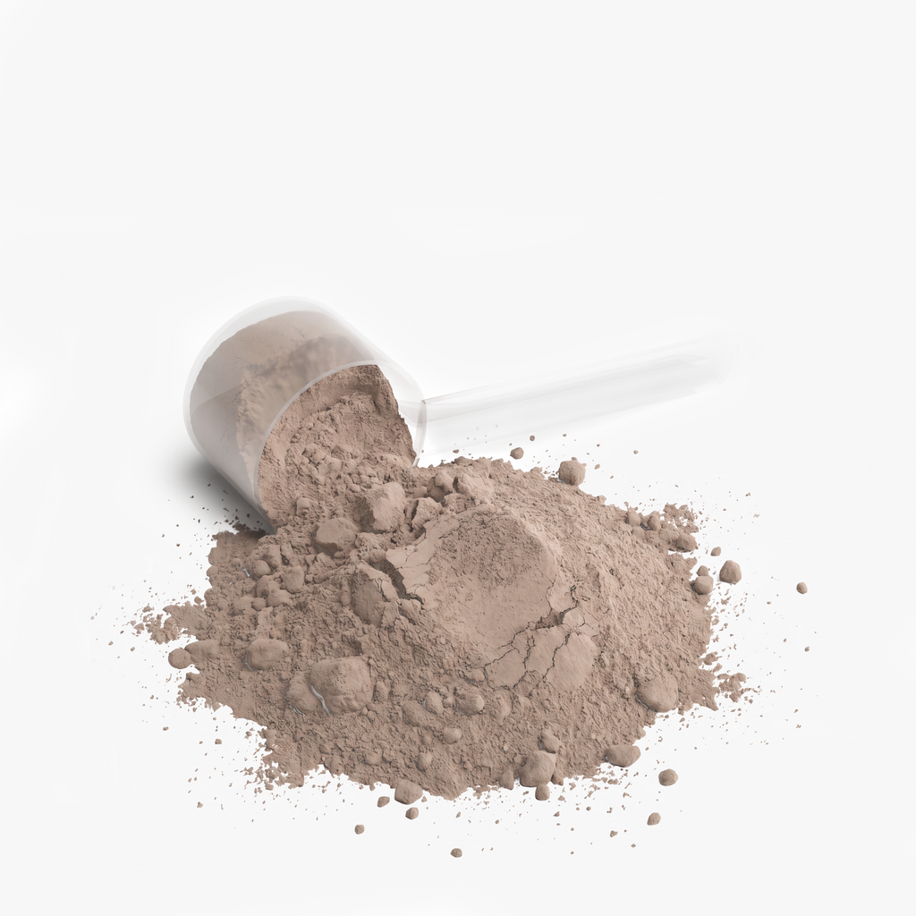 Body Command Premium Performance Whey Protein Blend (Chocolate)